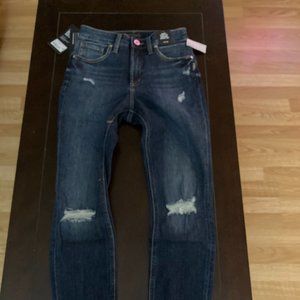 Silver Jeans Avery Curvy Fit High Rise Skinny Jean